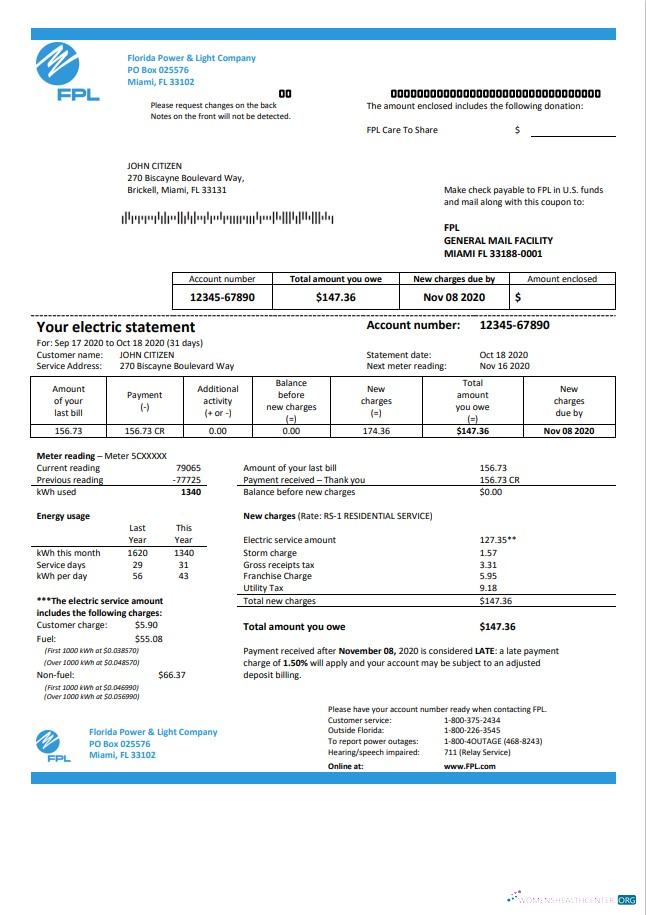 USA Florida Power & Light Company (FPL) electricity utility bill template in Word and PDF format